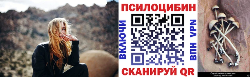 Галлюциногенные грибы Psilocybe  Вольск 