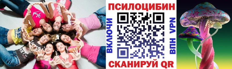 Галлюциногенные грибы Psilocybe Вольск