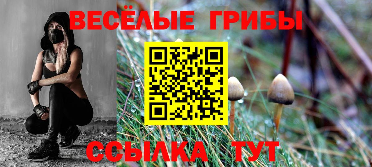 Псилоцибиновые грибы ЛСД Вольск